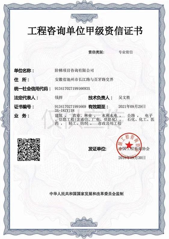 市政府质量奖企业风采②|阶梯项目咨询 高品质服务助力项目“腾飞” 信息技术咨询服务的卓越典范
