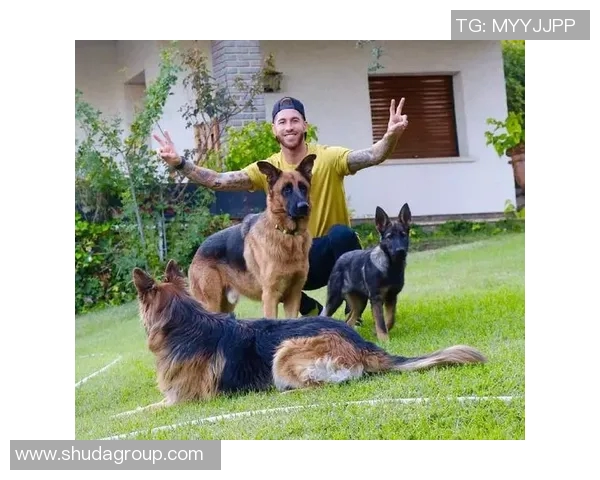 全球最具人气的十大足球动物球星排名揭晓 动物界足球风云再起