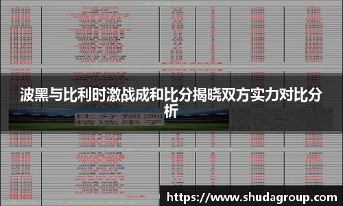 波黑与比利时激战成和比分揭晓双方实力对比分析