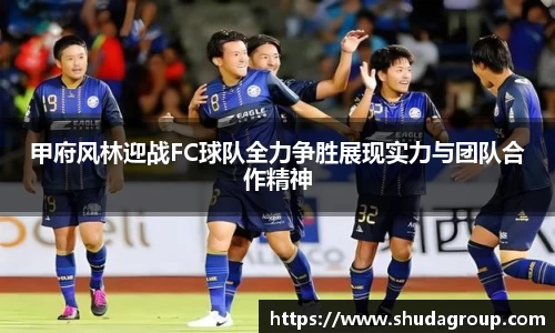 甲府风林迎战FC球队全力争胜展现实力与团队合作精神